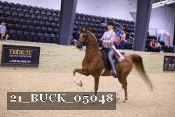 21_BUCK_05048 proof