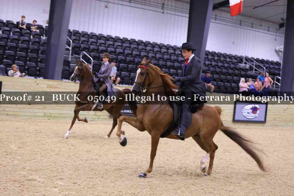 Proof 21_BUCK_05049