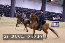 21_BUCK_05049 proof