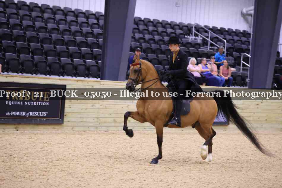 Proof 21_BUCK_05050
