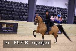 21_BUCK_05050 proof