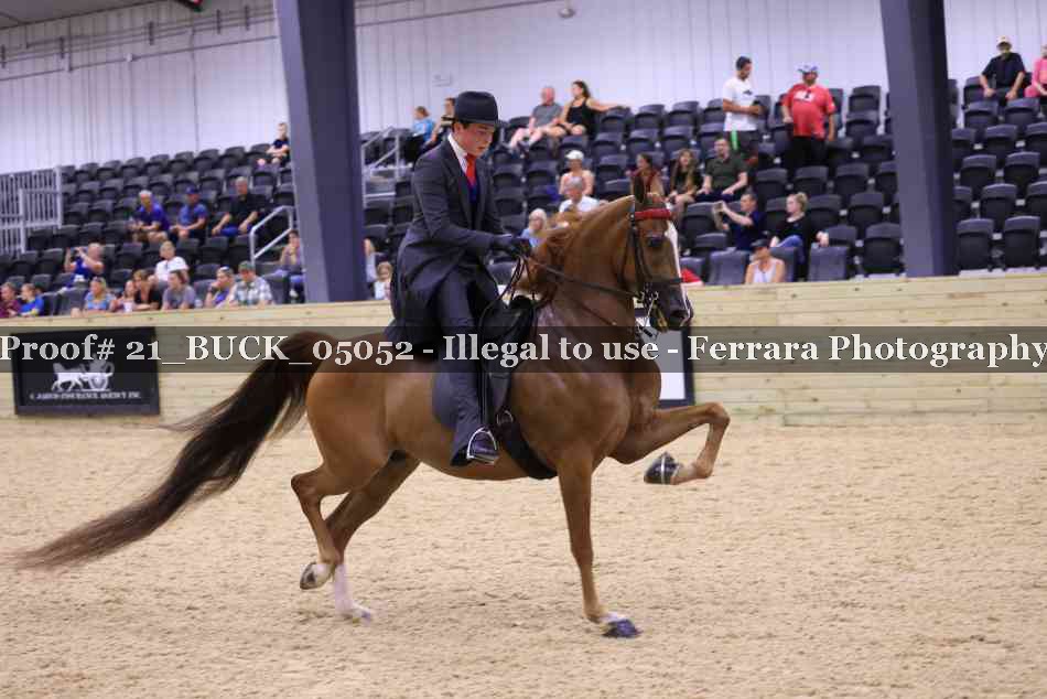 Proof 21_BUCK_05052
