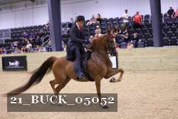 21_BUCK_05052 proof