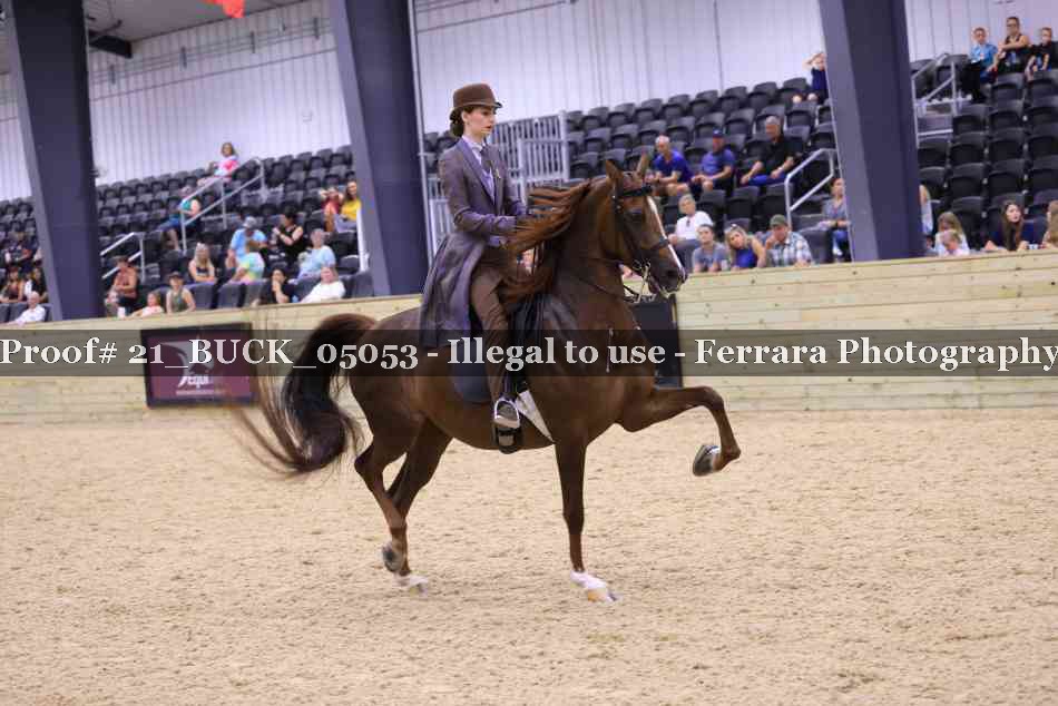 Proof 21_BUCK_05053