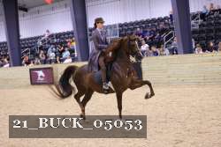 21_BUCK_05053 proof