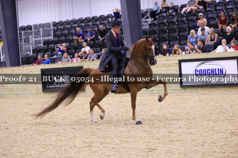 Proof 21_BUCK_05054