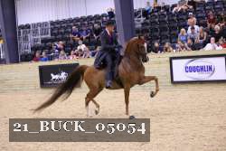 21_BUCK_05054 proof