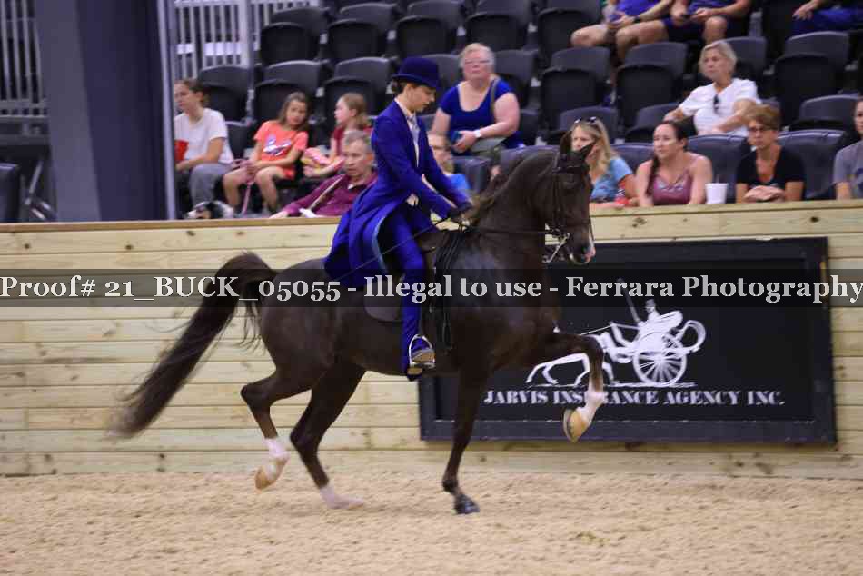 Proof 21_BUCK_05055