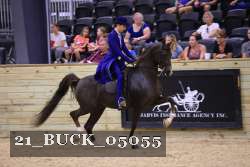 21_BUCK_05055 proof