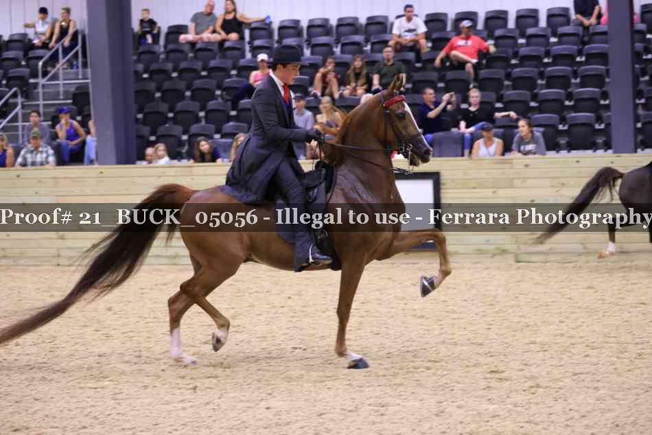 Proof 21_BUCK_05056