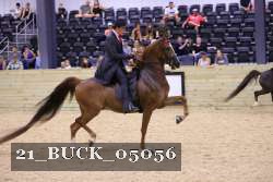 21_BUCK_05056 proof