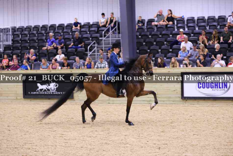 Proof 21_BUCK_05057