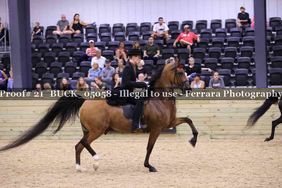 Proof 21_BUCK_05058