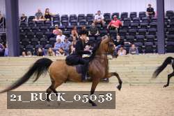 21_BUCK_05058 proof