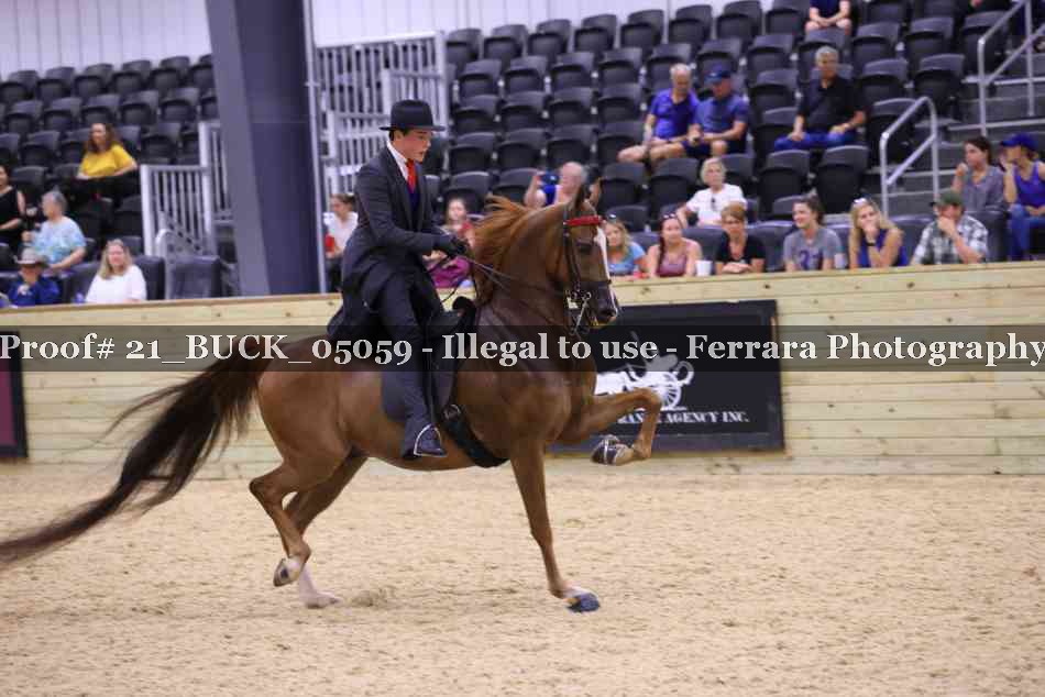 Proof 21_BUCK_05059