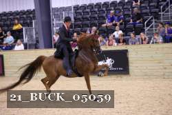 21_BUCK_05059 proof