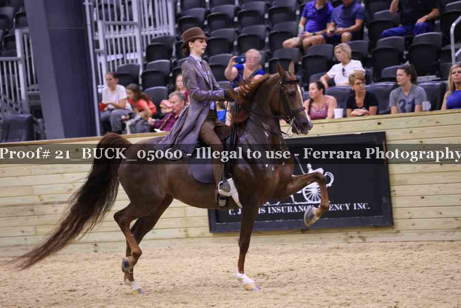 Proof 21_BUCK_05060