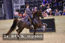 21_BUCK_05060 proof