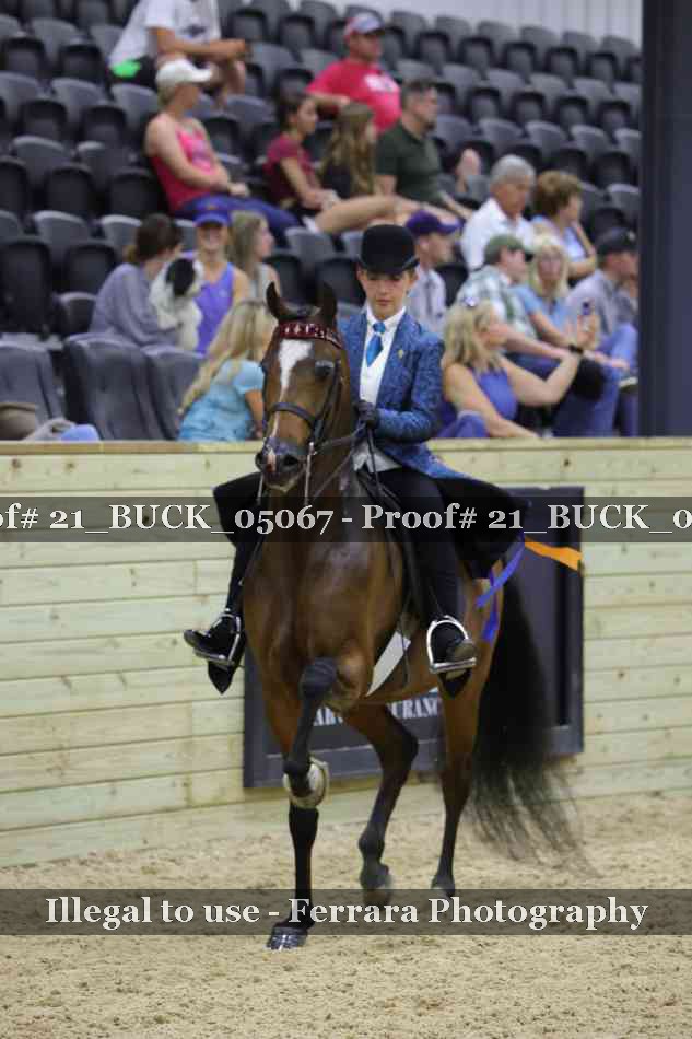 Proof 21_BUCK_05067