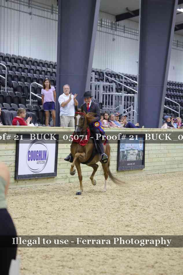 Proof 21_BUCK_05071