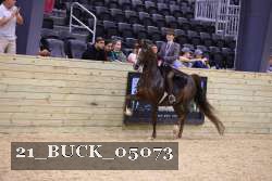 21_BUCK_05073 proof