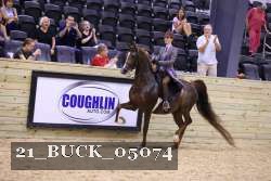 21_BUCK_05074 proof