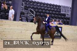21_BUCK_05075 proof