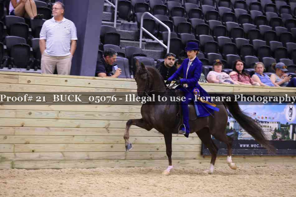 Proof 21_BUCK_05076