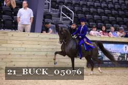 21_BUCK_05076 proof