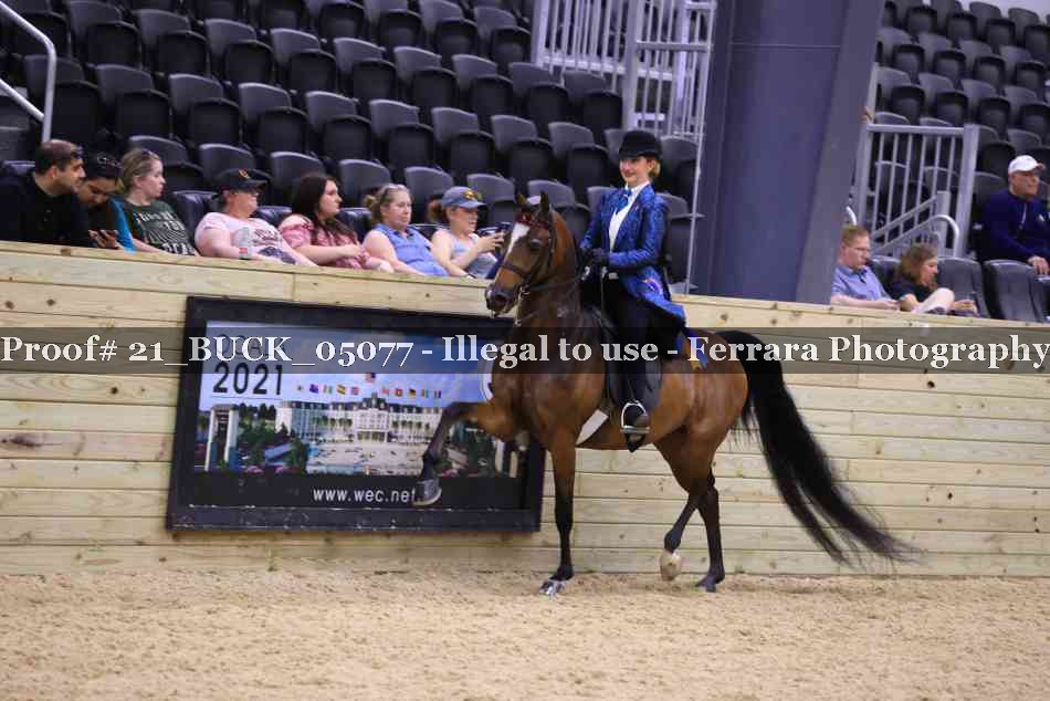 Proof 21_BUCK_05077