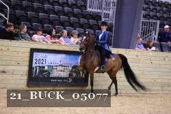 21_BUCK_05077 proof