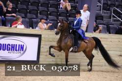 21_BUCK_05078 proof
