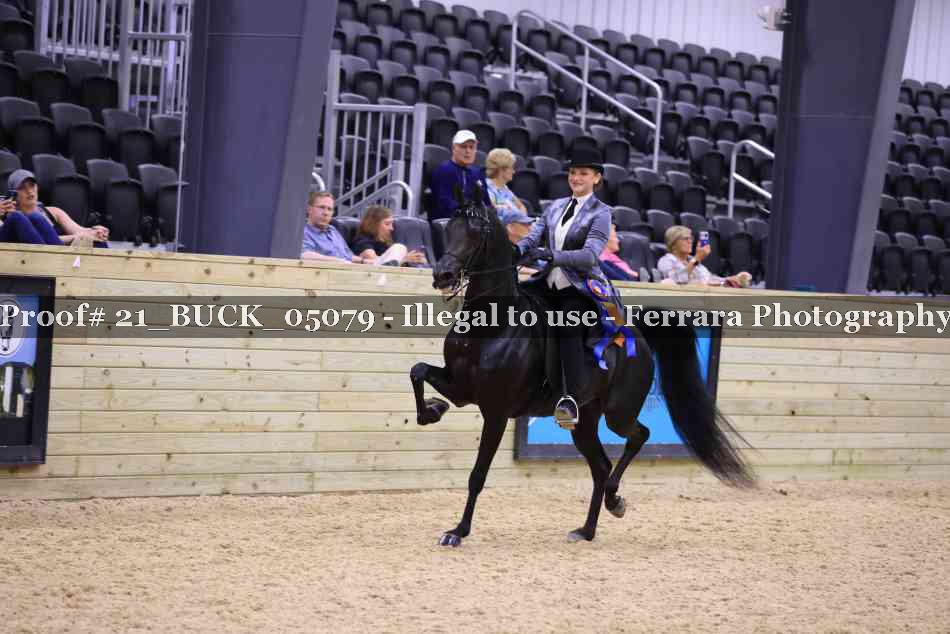 Proof 21_BUCK_05079