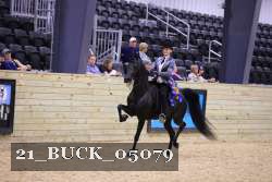 21_BUCK_05079 proof