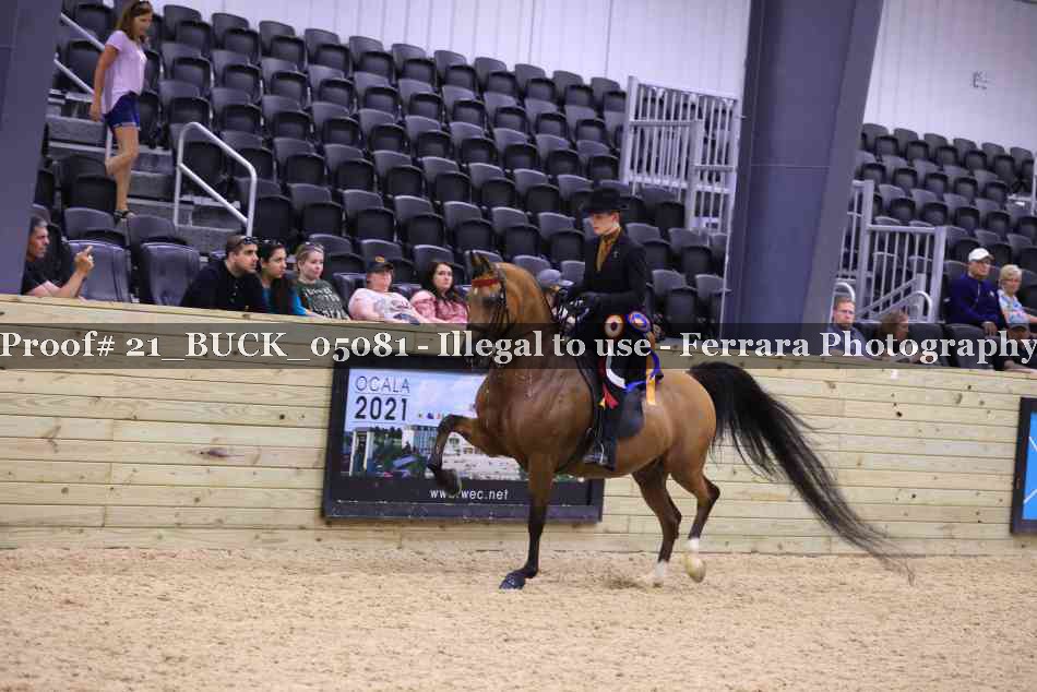 Proof 21_BUCK_05081