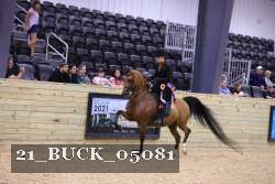 21_BUCK_05081 proof