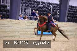 21_BUCK_05082 proof