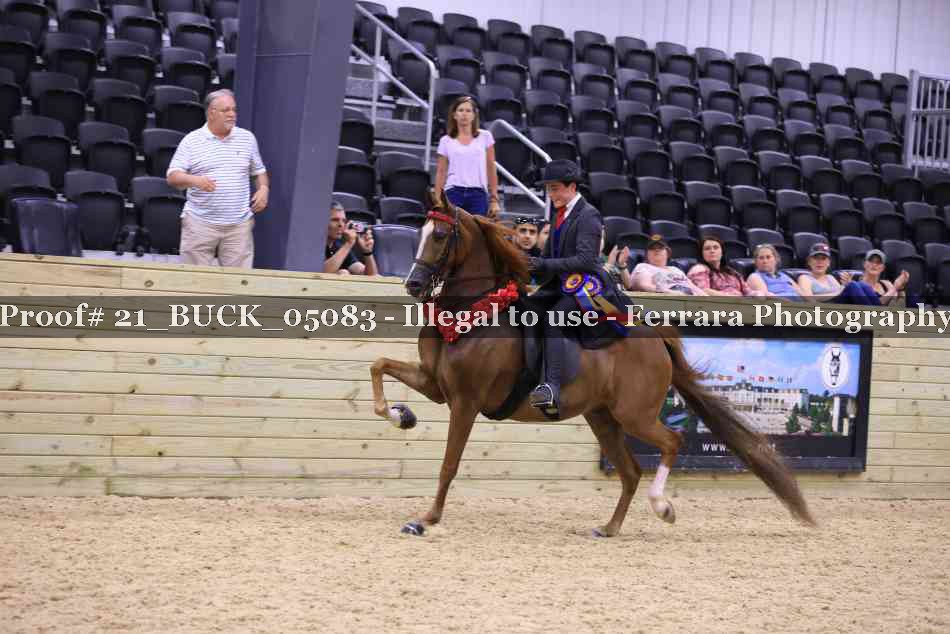 Proof 21_BUCK_05083