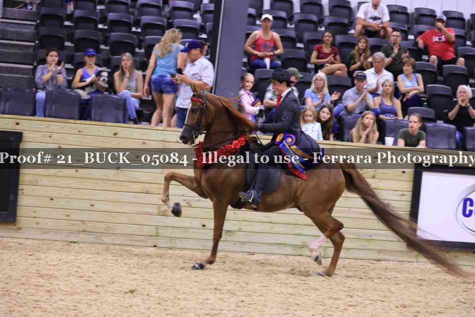 Proof 21_BUCK_05084