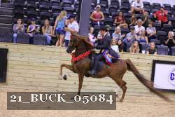 21_BUCK_05084 proof