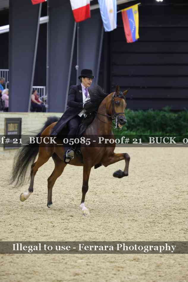 Proof 21_BUCK_05085