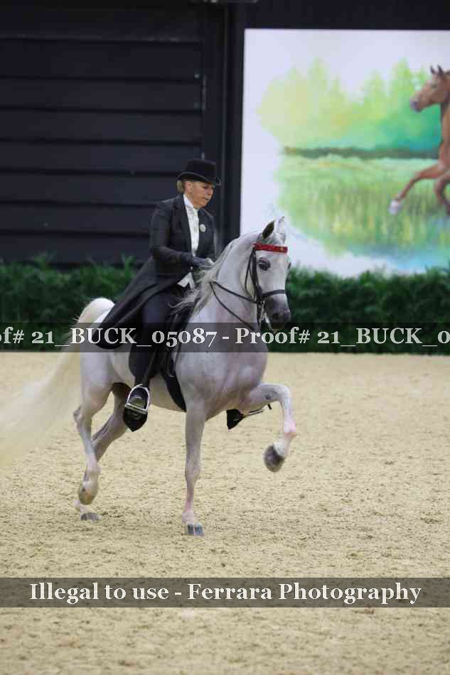 Proof 21_BUCK_05087