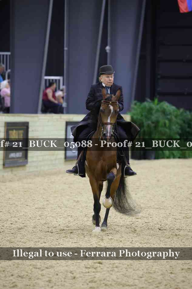 Proof 21_BUCK_05088
