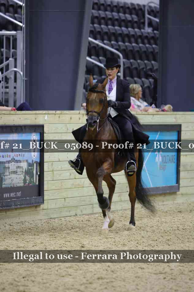 Proof 21_BUCK_05089