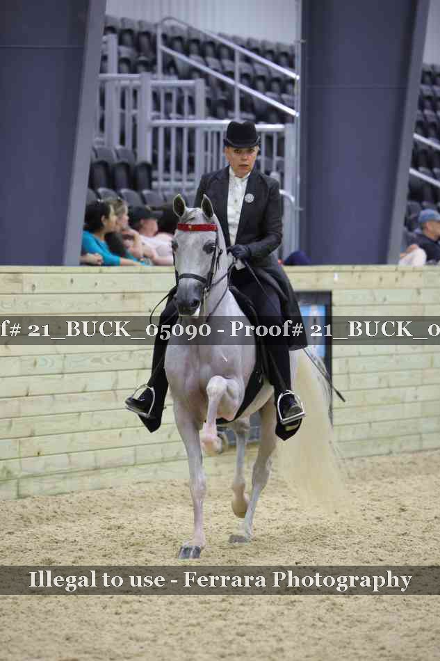 Proof 21_BUCK_05090