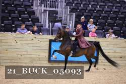 21_BUCK_05093 proof