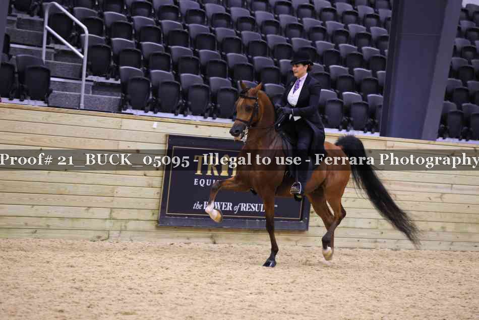 Proof 21_BUCK_05095