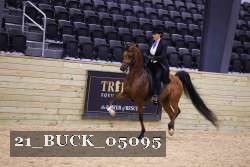 21_BUCK_05095 proof