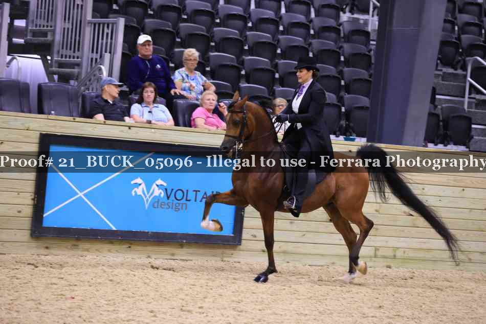 Proof 21_BUCK_05096