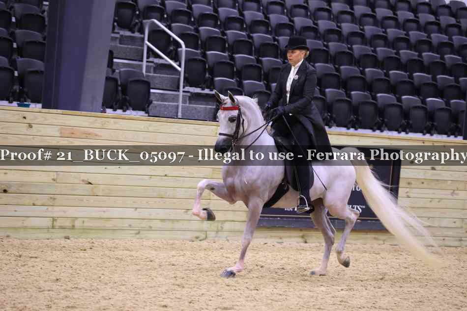 Proof 21_BUCK_05097